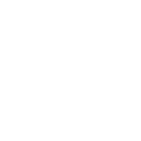 an image of a tree made of triangles